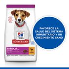 Hill's Science Plan Puppy Small & Mini Pollo Pienso para perros, , large image number null